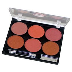 Paleta 6 blushes
